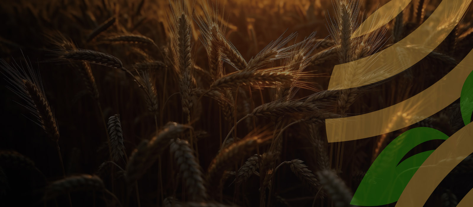 Fodder Trading Al Barsha Fodder Trading