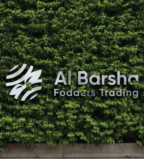 Fodder Trading Al Barsha Fodder Trading