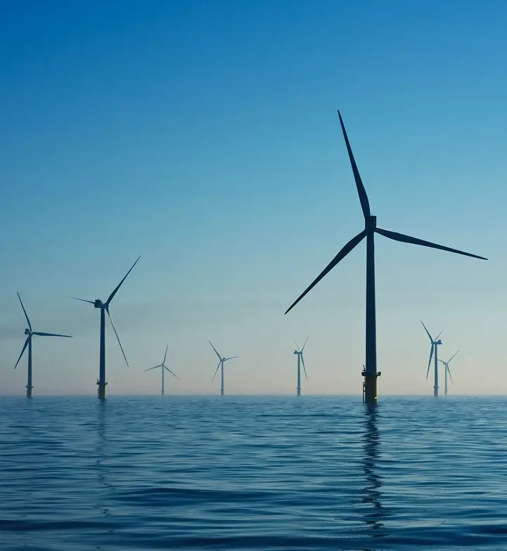 nurturing-culture-img